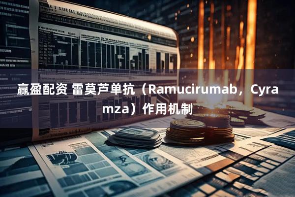 赢盈配资 雷莫芦单抗（Ramucirumab，Cyramza）作用机制