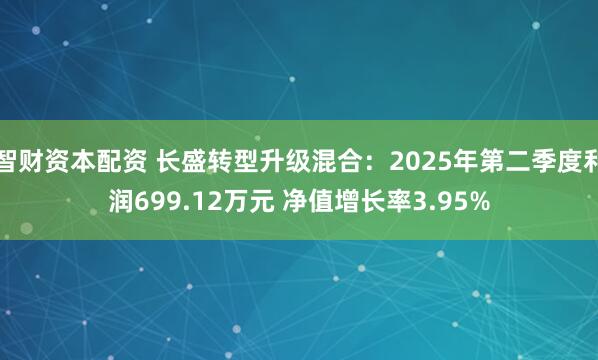 智财资本配资 长盛转型升级混合：2025年第二季度利润699.12万元 净值增长率3.95%